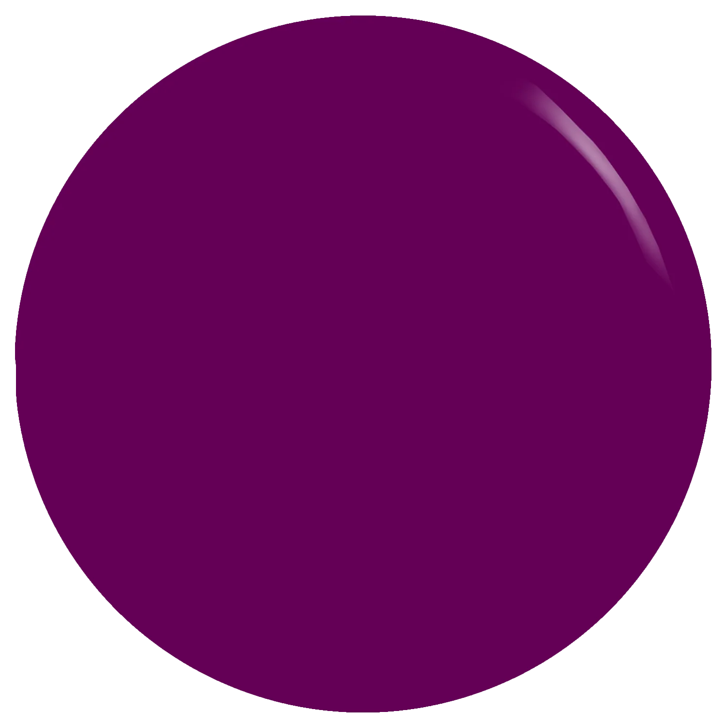 The Aubergine Gel Polish - Image 2