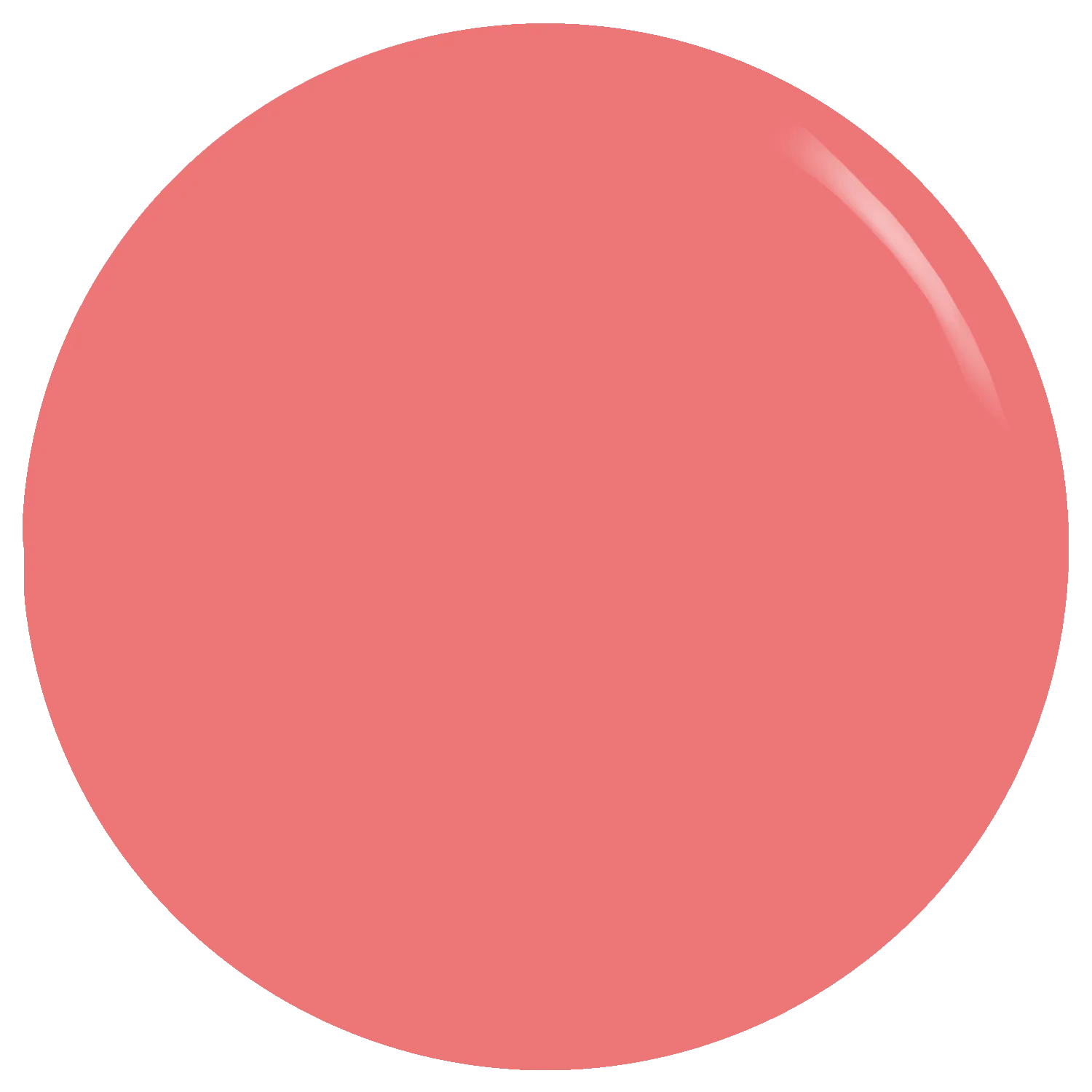 The Dark Blush Gel Polish - Image 2