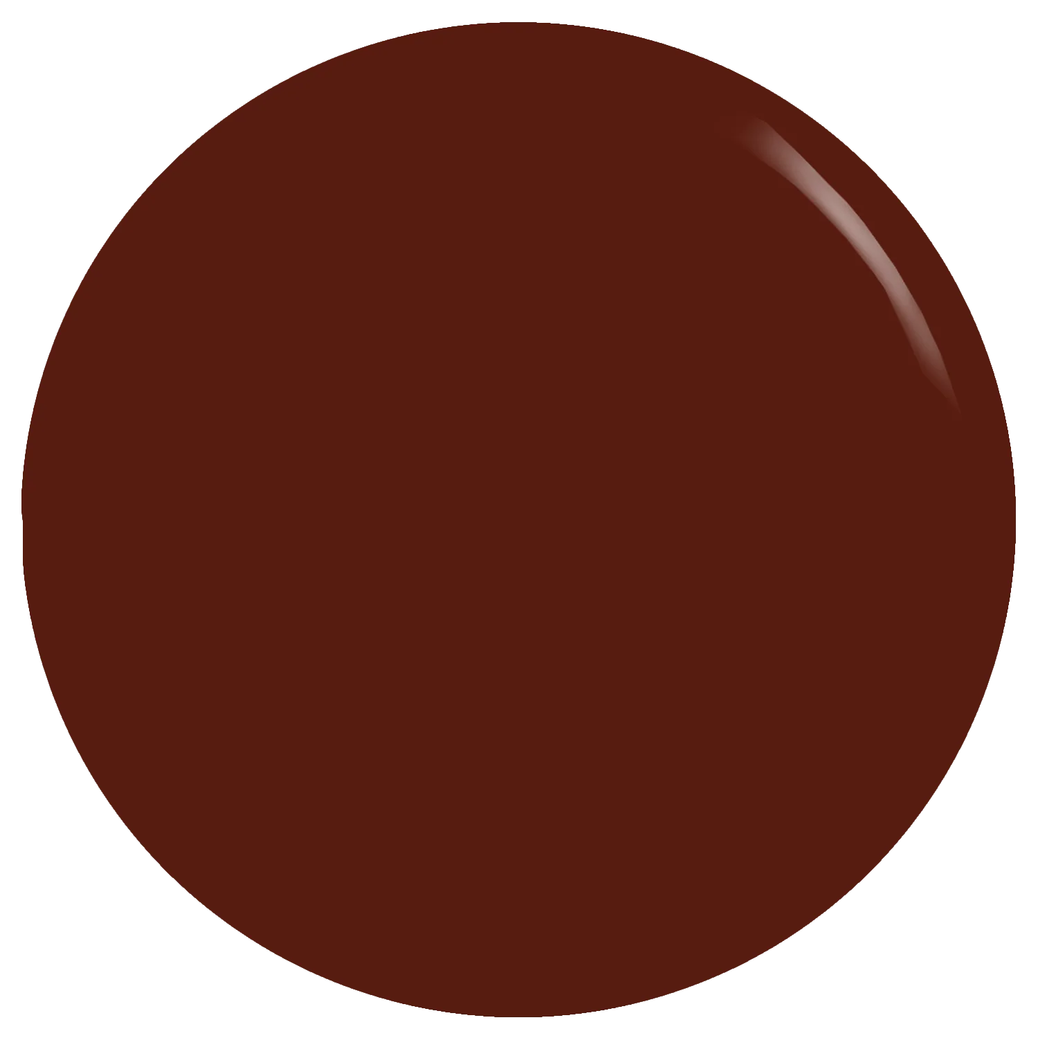 The Espresso Brown Gel Polish - Image 2