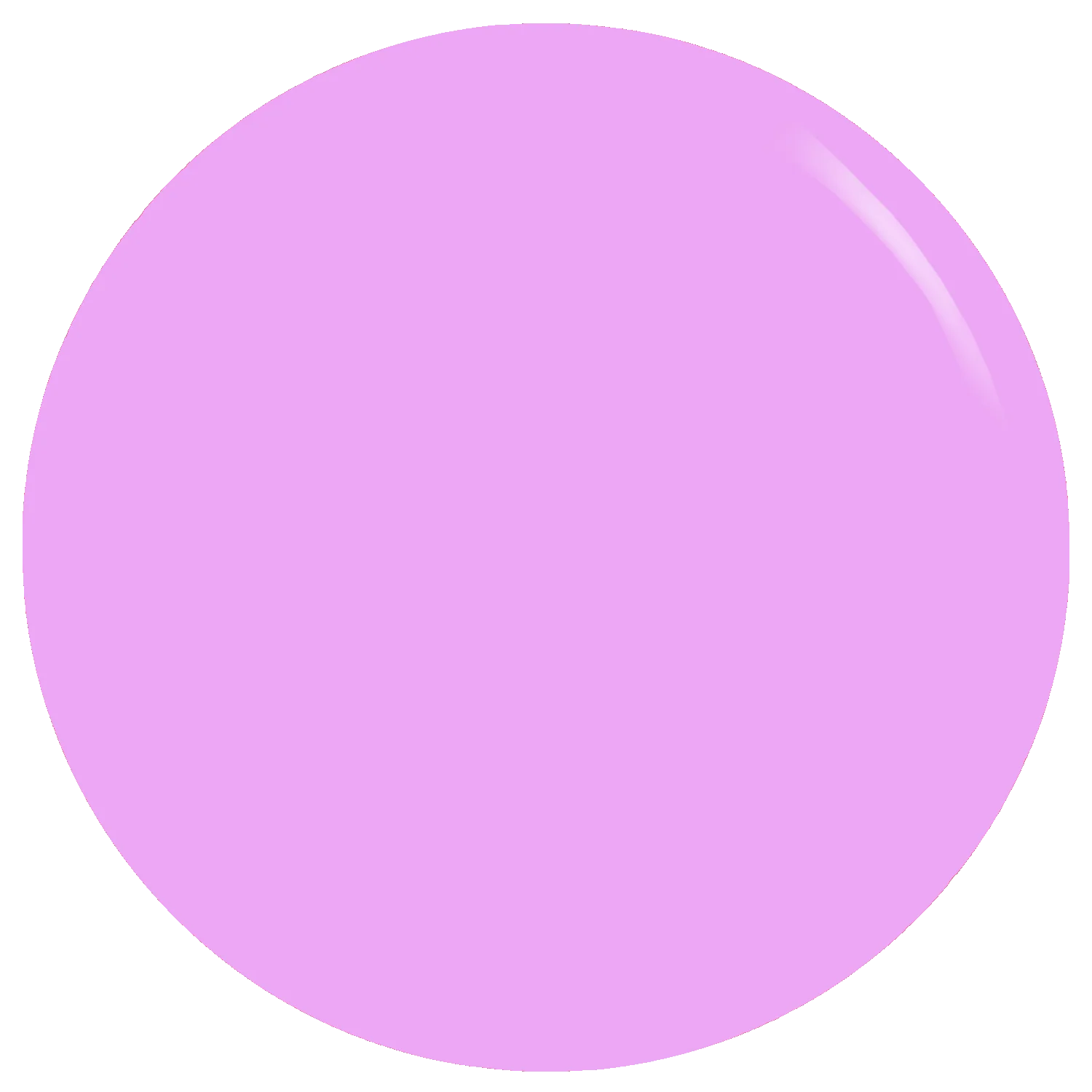 The Lavender Gel Polish - Image 2