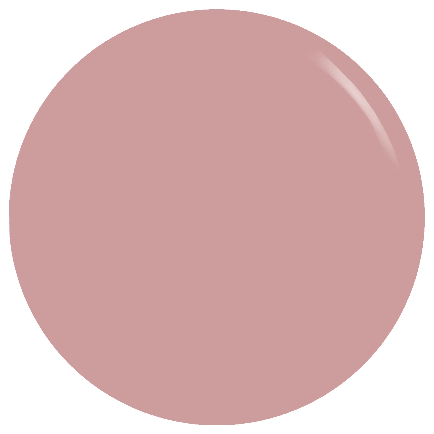 The Nude Gel Polish - Image 3