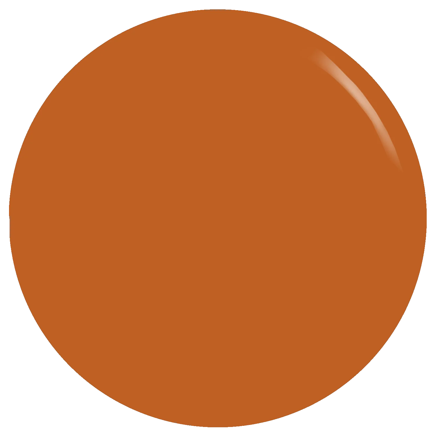 The Papaya Orange Gel Polish - Image 2