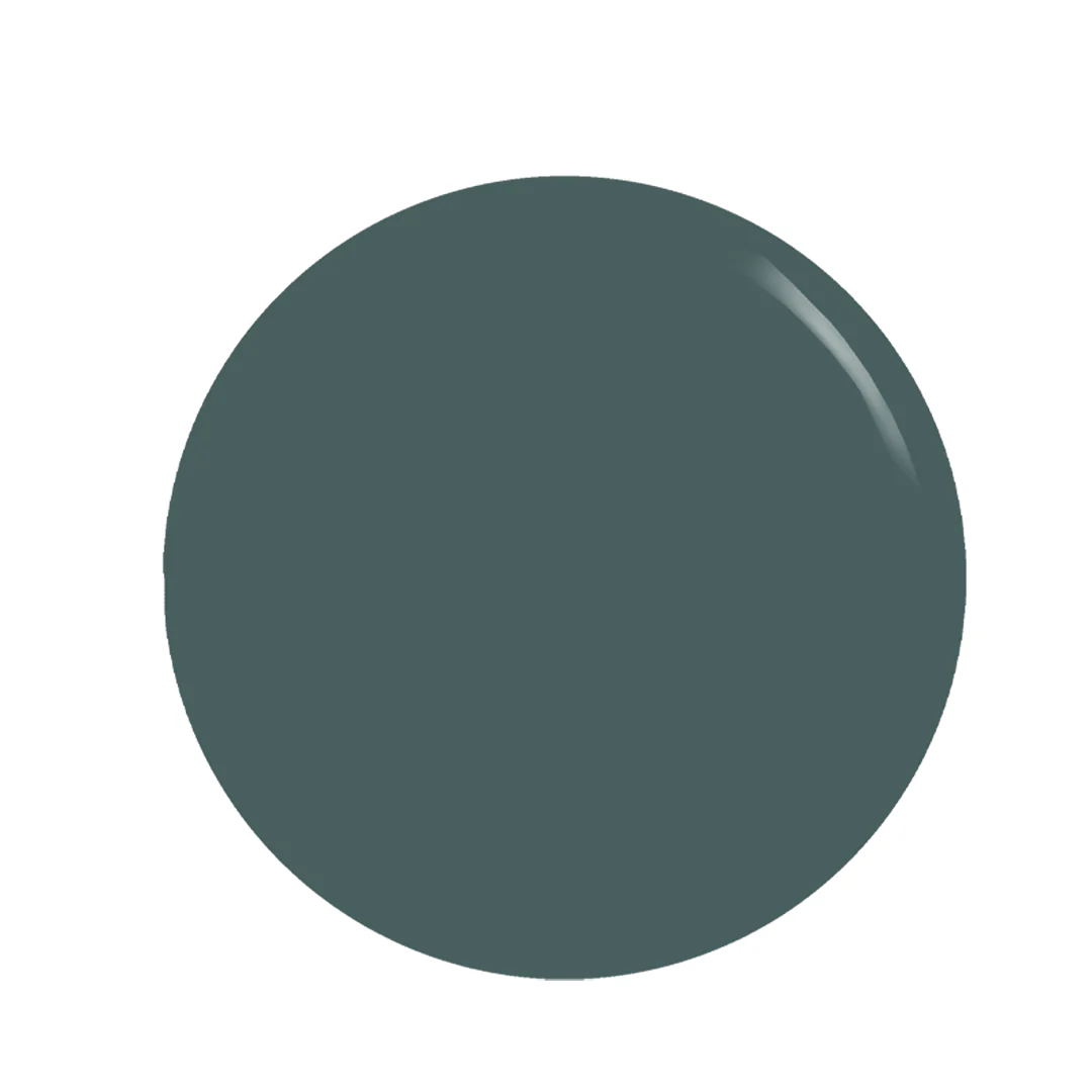 The Sage Green Gel Polish - Image 5