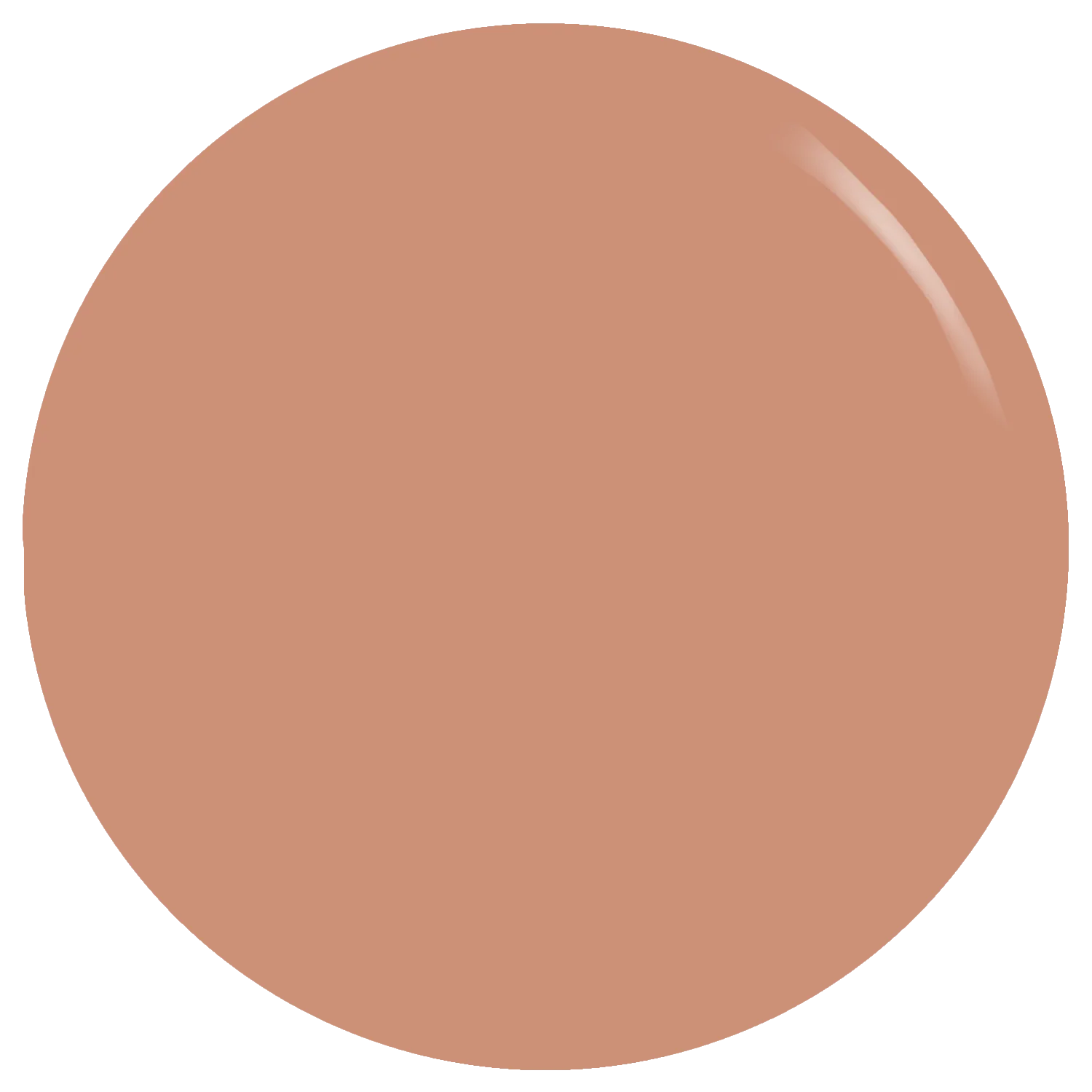 The Toffee Brown Gel Polish - Image 2